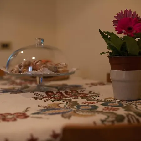 Notti Di Luna *