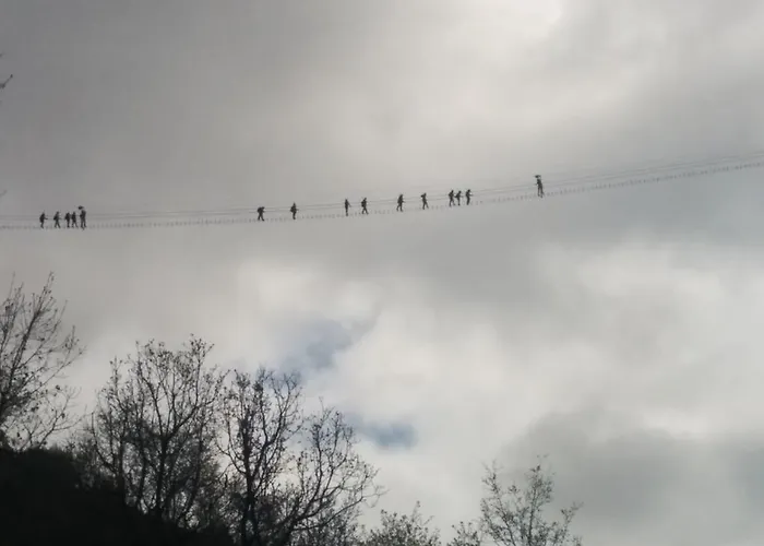 Notti Di Luna Potenza